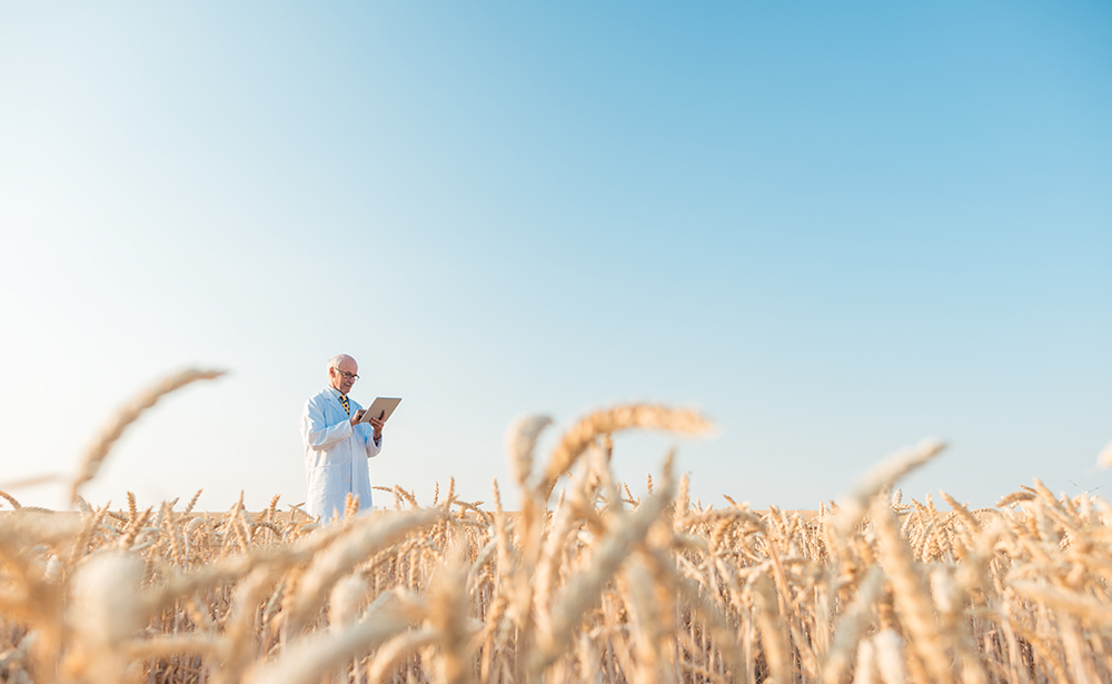 Avesthagen enters into a strategic alliance with Limagrain, French major in seed business to accelerate collaborative biotech R&D projects that advance agriculture